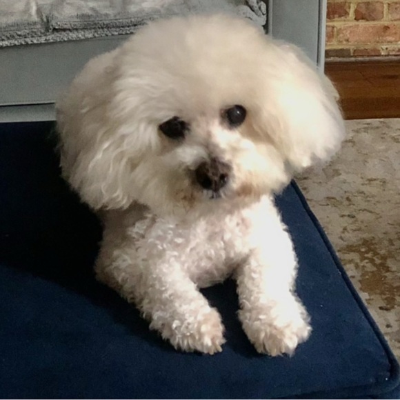 Welcome - Picture 6 of 16